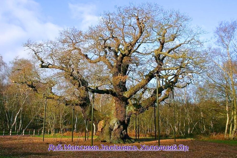 экскурсия в Холодный Яр