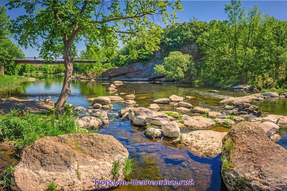 КОРСУНЬ, РОСЬ И СТРАУСЫ | из Киева