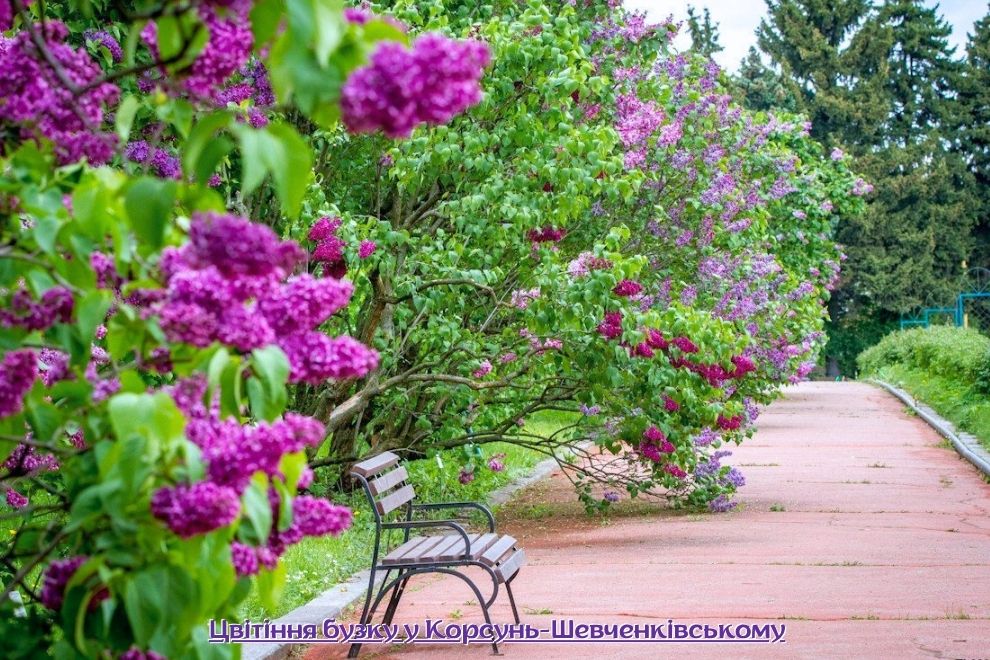 одноденні автобусні екскурсії вихідного дня на Черкащину