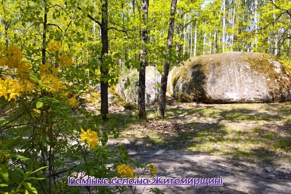 Каменное село и полесский Олевск